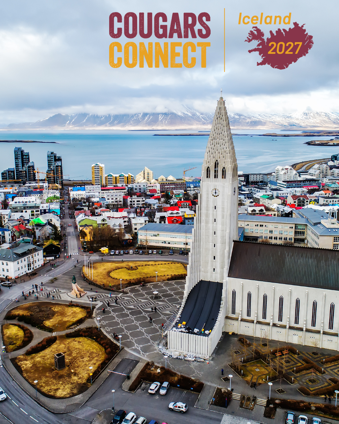 iceland website .png